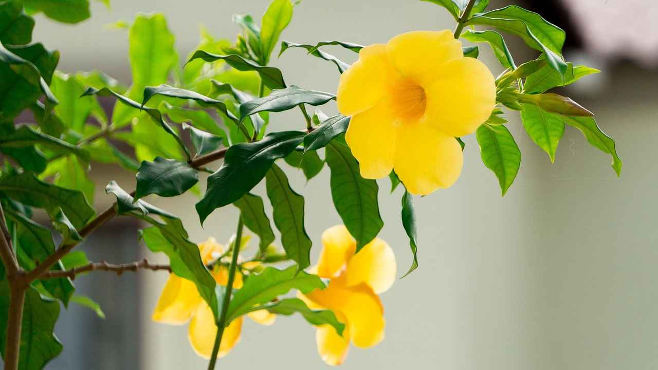 Antialerjik Nevresimlerin Faydaları