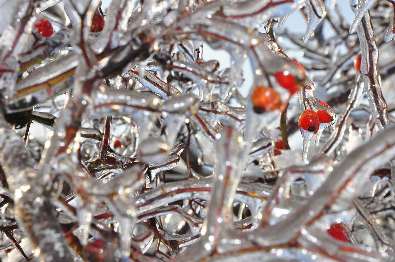 Antibakteriyel Nevresimlerin Sağlığa Faydaları 3 3. Antibakteriyel Nevresimlerin Kullanım Alanları