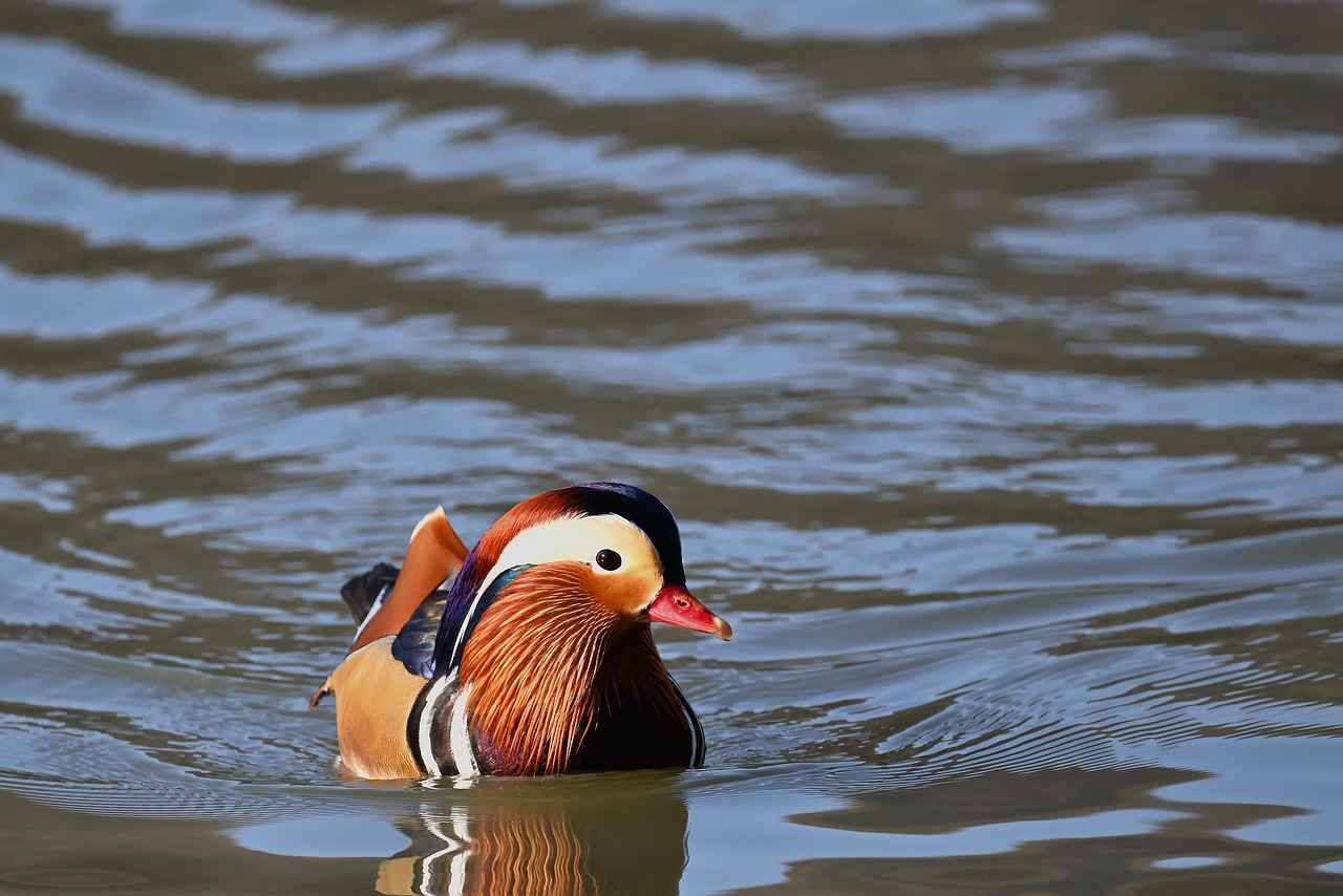 10. Sonuç ve Öneriler