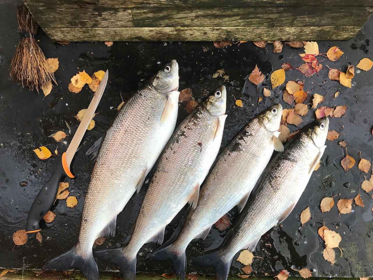 Enfes Bir Uyku İçin Nevresim Materyali Seçimi 9 9. Farklı Renk ve Desen Seçenekleri