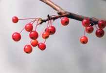 Evinize Ferahlık Katacak Soft Renkli Nevresim Modelleri Evinize Ferahlık Katacak Soft Renkli Nevresim Modelleri