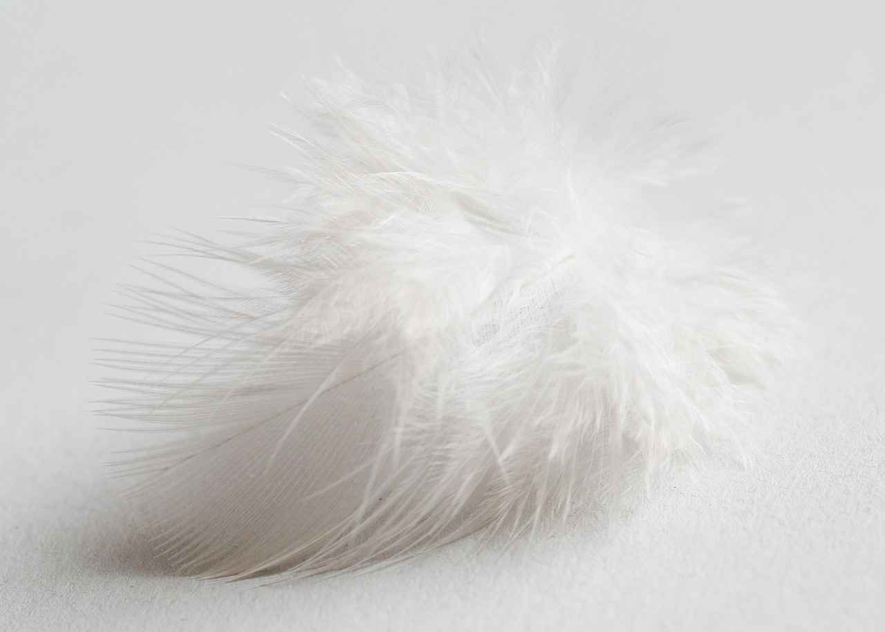 10. Conclusion: Creating Your Ideal Bedroom Oasis