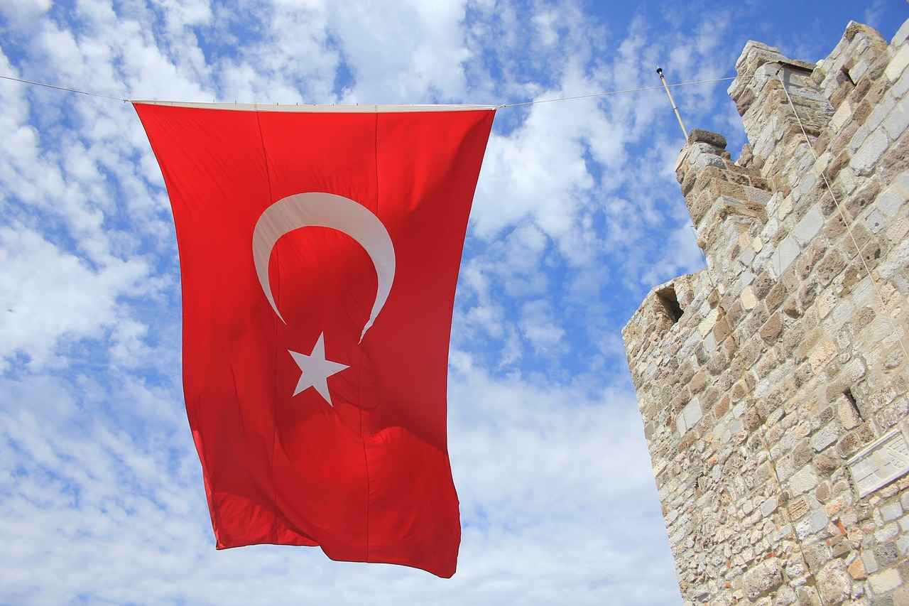Türk Motiflerinin Çeşitleri