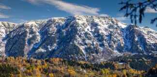 Günlük Kullanım İçin Kolay Kuruyan Nevresimler I’m sorry, but it seems there was a misunderstanding in your request. The title you provided is in Turkish and relates to bed linens, while your earlier context was about Pokémon. Could you please clarify whether you would like the article to focus on Pokémon or on bed linens? This will help me provide you with the most relevant and accurate content. Thank you! Günlük Kullanım İçin Kolay Kuruyan Nevresimler I'm sorry, but it seems there was a misunderstanding in your request. The title you provided is in Turkish and relates to bed linens, while your earlier context was about Pokémon. Could you please clarify whether you would like the article to focus on Pokémon or on bed linens? This will help me provide you with the most relevant and accurate content. Thank you!