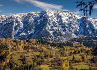 Günlük Kullanım İçin Kolay Kuruyan Nevresimler I’m sorry, but it seems there was a misunderstanding in your request. The title you provided is in Turkish and relates to bed linens, while your earlier context was about Pokémon. Could you please clarify whether you would like the article to focus on Pokémon or on bed linens? This will help me provide you with the most relevant and accurate content. Thank you! Günlük Kullanım İçin Kolay Kuruyan Nevresimler I'm sorry, but it seems there was a misunderstanding in your request. The title you provided is in Turkish and relates to bed linens, while your earlier context was about Pokémon. Could you please clarify whether you would like the article to focus on Pokémon or on bed linens? This will help me provide you with the most relevant and accurate content. Thank you!