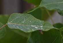 Günlük Kullanıma Uygun En Ekonomik Nevresim Takımları Günlük Kullanıma Uygun En Ekonomik Nevresim Takımları