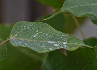 Günlük Kullanıma Uygun En Ekonomik Nevresim Takımları Günlük Kullanıma Uygun En Ekonomik Nevresim Takımları