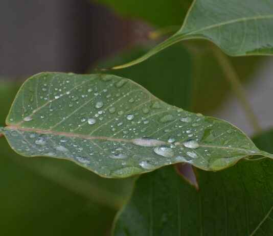 Günlük Kullanıma Uygun En Ekonomik Nevresim Takımları Günlük Kullanıma Uygun En Ekonomik Nevresim Takımları