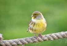 Hangi Kumaş Türü Yazın Daha Serin Tutar? Hangi Kumaş Türü Yazın Daha Serin Tutar?