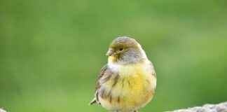 Hangi Kumaş Türü Yazın Daha Serin Tutar? Hangi Kumaş Türü Yazın Daha Serin Tutar?