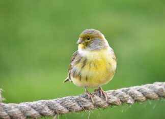 Hangi Kumaş Türü Yazın Daha Serin Tutar? Hangi Kumaş Türü Yazın Daha Serin Tutar?