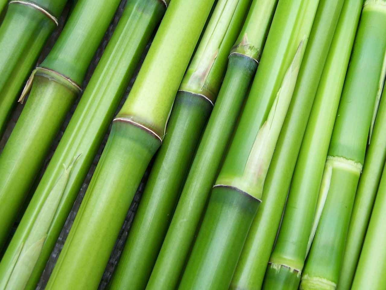 Bambu Kumaşın Faydaları