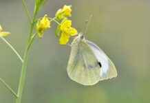 Hangi Kumaşlar Cilt Dostudur? Uyku Kalitesine Etkileri Hangi Kumaşlar Cilt Dostudur? Uyku Kalitesine Etkileri