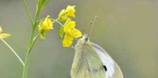 Hangi Kumaşlar Cilt Dostudur? Uyku Kalitesine Etkileri Hangi Kumaşlar Cilt Dostudur? Uyku Kalitesine Etkileri