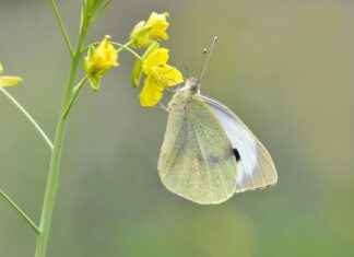 Hangi Kumaşlar Cilt Dostudur? Uyku Kalitesine Etkileri Hangi Kumaşlar Cilt Dostudur? Uyku Kalitesine Etkileri