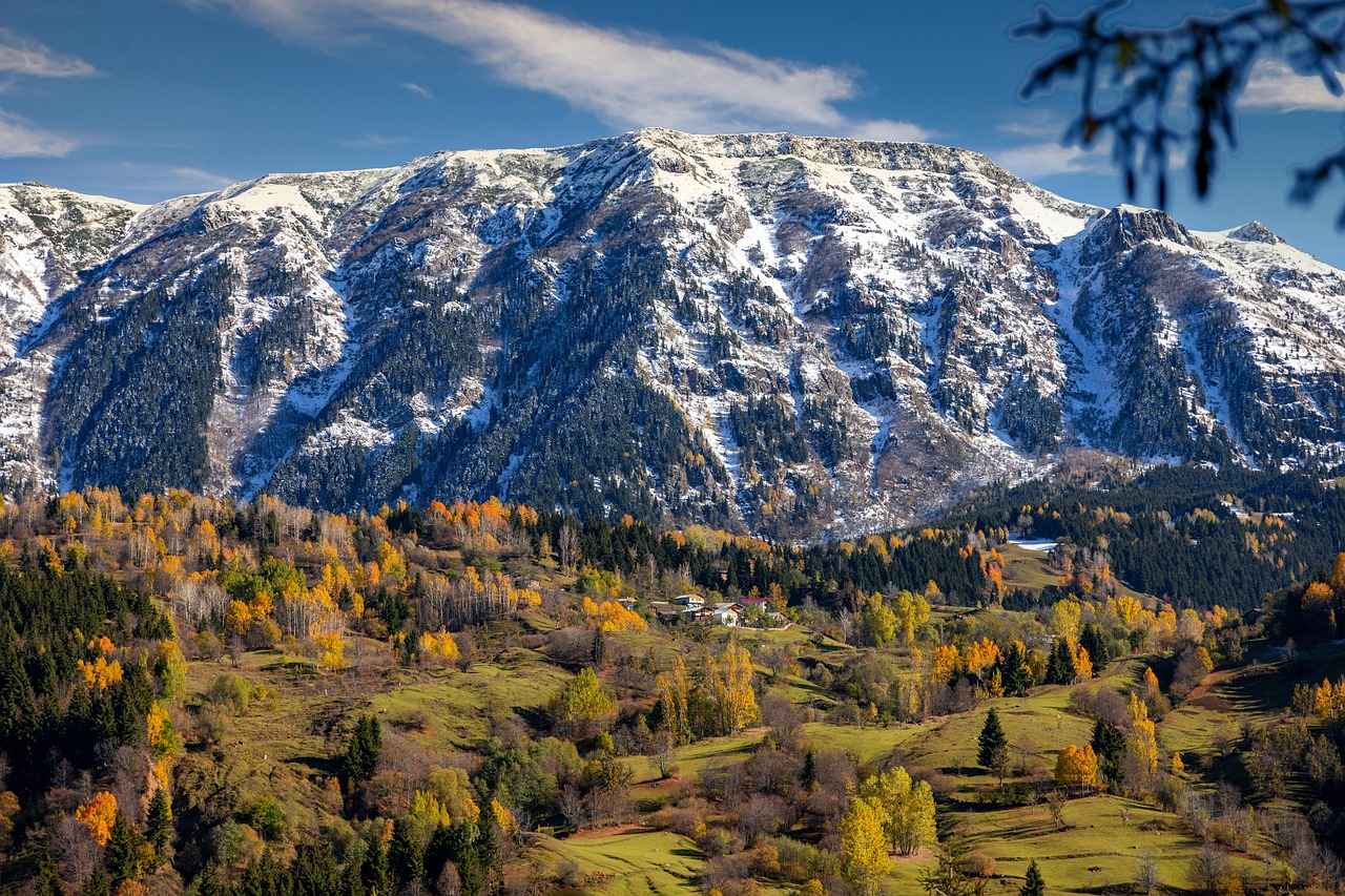 Sonbahar İçin Uygun Nevresim Kumaşları
