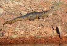 İdeal Nevresim Seçimi ile Uyku Kalitesini Artırmak İdeal Nevresim Seçimi ile Uyku Kalitesini Artırmak