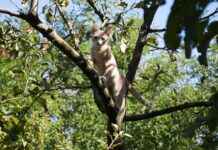 Kışın Yatak Odanızda Sıcak Kalmak İçin Hangi Nevresimleri Tercih Etmelisiniz? Kışın Yatak Odanızda Sıcak Kalmak İçin Hangi Nevresimleri Tercih Etmelisiniz?