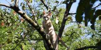 Kışın Yatak Odanızda Sıcak Kalmak İçin Hangi Nevresimleri Tercih Etmelisiniz? Kışın Yatak Odanızda Sıcak Kalmak İçin Hangi Nevresimleri Tercih Etmelisiniz?