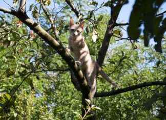 Kışın Yatak Odanızda Sıcak Kalmak İçin Hangi Nevresimleri Tercih Etmelisiniz? Kışın Yatak Odanızda Sıcak Kalmak İçin Hangi Nevresimleri Tercih Etmelisiniz?