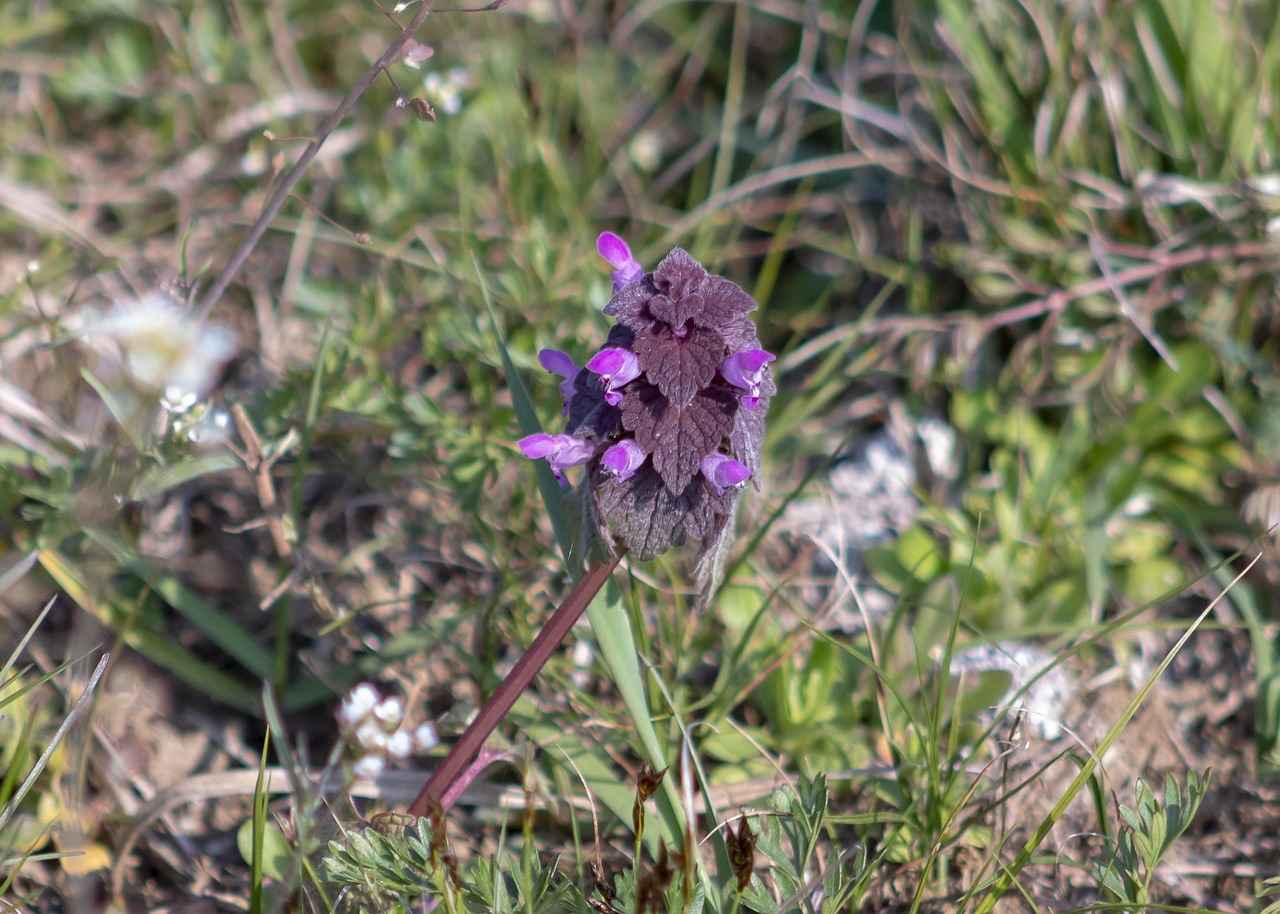 Kışlık Nevresimlerde En Çok Tercih Edilen Kumaş Türleri 5 5. Flanel Kumaşlar