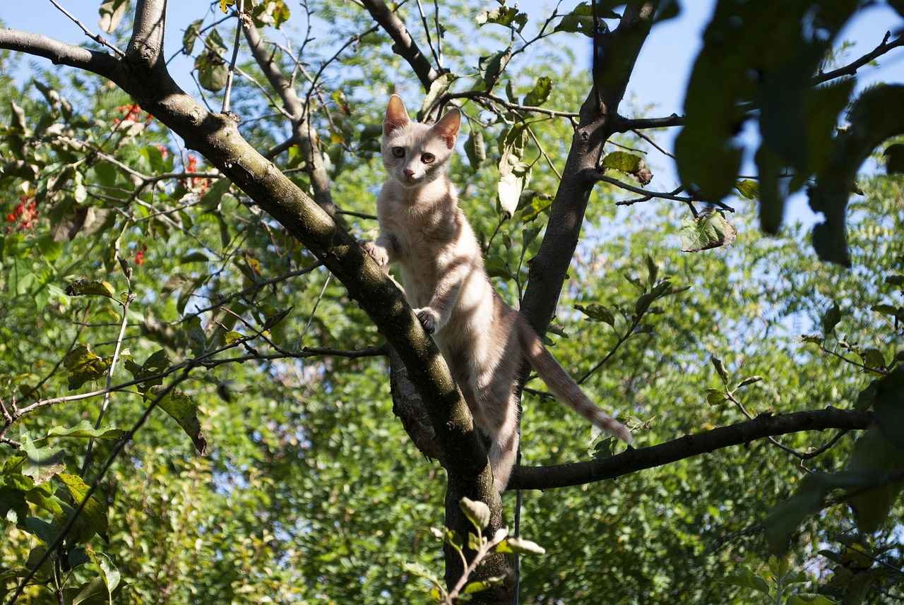 Sonuç: Kışlık Nevresimlerin Önemi
