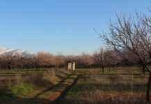 Küçük Yatak Odaları İçin Açık Renk Nevresimlerin Avantajları Küçük Yatak Odaları İçin Açık Renk Nevresimlerin Avantajları