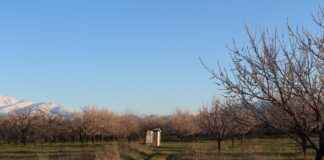Küçük Yatak Odaları İçin Açık Renk Nevresimlerin Avantajları Küçük Yatak Odaları İçin Açık Renk Nevresimlerin Avantajları