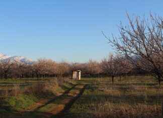 Küçük Yatak Odaları İçin Doğru Nevresim Seçimi Nasıl Yapılır? Küçük Yatak Odaları İçin Doğru Nevresim Seçimi Nasıl Yapılır?