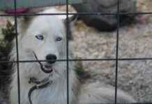 Leke Tutmayan ve Kolay Temizlenen Nevresim Kumaşları Leke Tutmayan ve Kolay Temizlenen Nevresim Kumaşları