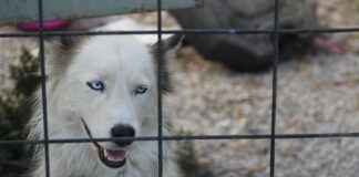 Leke Tutmayan ve Kolay Temizlenen Nevresim Kumaşları Leke Tutmayan ve Kolay Temizlenen Nevresim Kumaşları