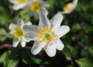 Lüks Nevresimler: Yataktan Önce ve Sonra I’m sorry, but it seems there was a misunderstanding in your request. You mentioned Lüks Nevresimler: Yataktan Önce ve Sonra I'm sorry, but it seems there was a misunderstanding in your request. You mentioned