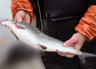 Misafirler İçin Şık ve Konforlu Nevresim Seçenekleri Misafirler İçin Şık ve Konforlu Nevresim Seçenekleri