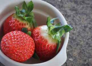 Nevresim Alırken Dikkat Edilmesi Gereken 10 Önemli Nokta Nevresim Alırken Dikkat Edilmesi Gereken 10 Önemli Nokta