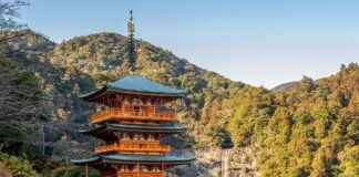 Pokemon Analysis: Understanding Their Unique Traits Pokemon Analysis: Understanding Their Unique Traits