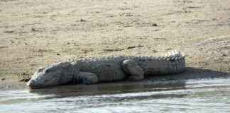 Nevresim Takımları İçin En Şık Kombin Önerileri Nevresim Takımları İçin En Şık Kombin Önerileri