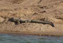 Nevresim Takımları Kaç Günde Bir Yıkanmalı? Nevresim Takımları Kaç Günde Bir Yıkanmalı?