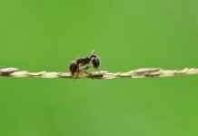 Popular Natural Materials in Bedding Sets Popular Natural Materials in Bedding Sets