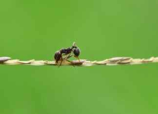 Popular Natural Materials in Bedding Sets Popular Natural Materials in Bedding Sets