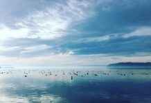 Comparing Different Fabrics in Bedding Sets Comparing Different Fabrics in Bedding Sets