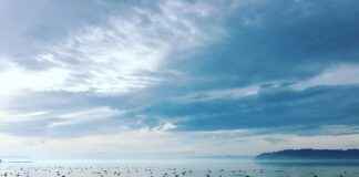 Comparing Different Fabrics in Bedding Sets Comparing Different Fabrics in Bedding Sets