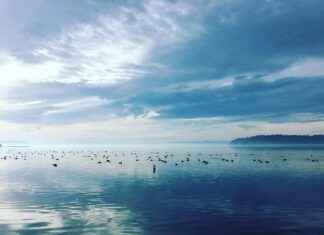 Comparing Different Fabrics in Bedding Sets Comparing Different Fabrics in Bedding Sets