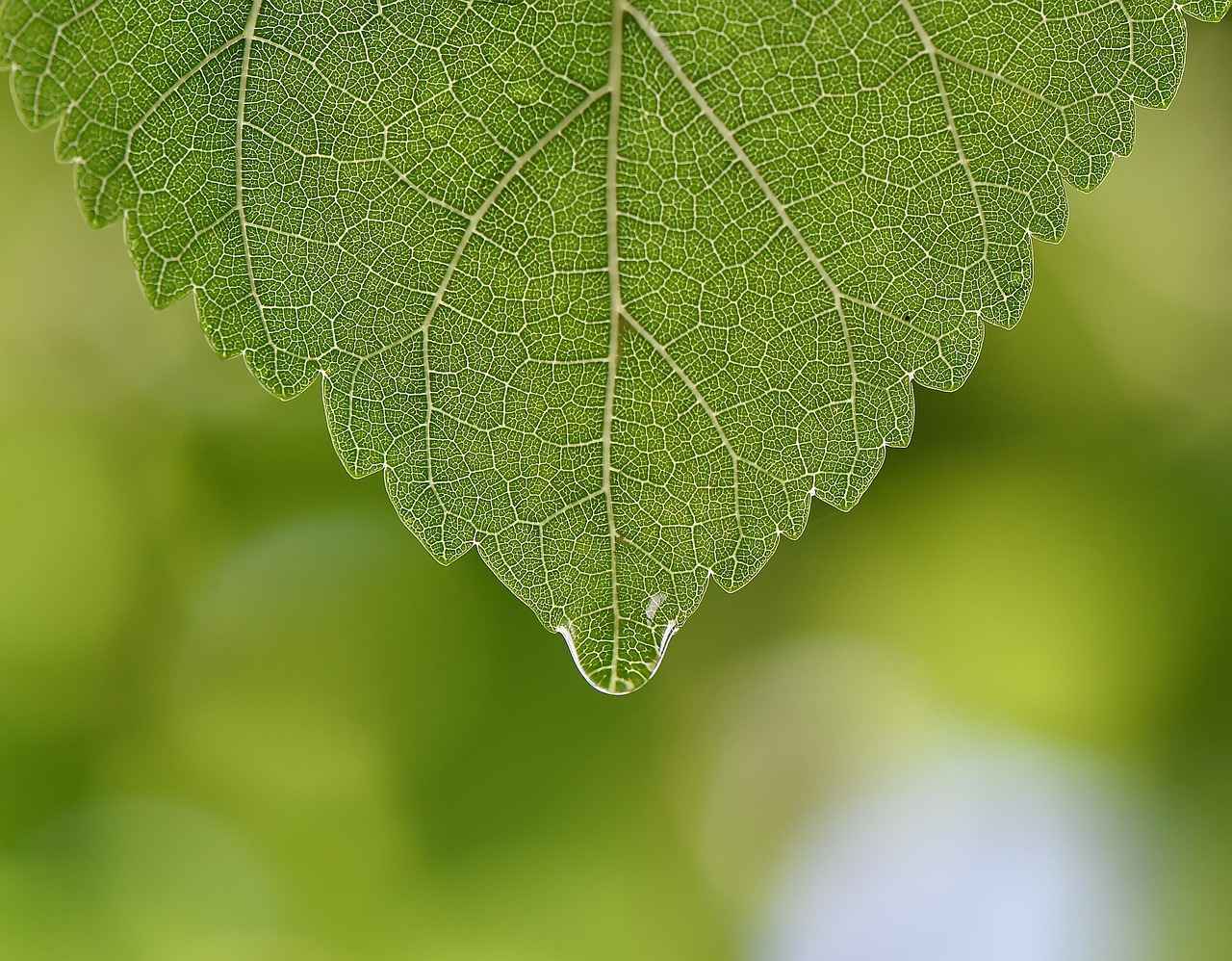 2. Kurutma Yöntemleri