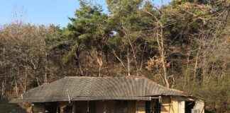 Nevresimlerinizde En Şık Renk Uyumlarını Yakalamanın Püf Noktaları Nevresimlerinizde En Şık Renk Uyumlarını Yakalamanın Püf Noktaları