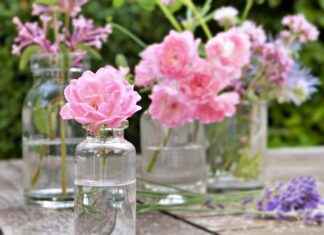 Nevresimlerinize Parfüm Kokusu Katmanın Püf Noktaları Nevresimlerinize Parfüm Kokusu Katmanın Püf Noktaları