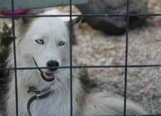 Nevresimlerinizi Sağlıklı Bir Şekilde Yıkama İpuçları Nevresimlerinizi Sağlıklı Bir Şekilde Yıkama İpuçları