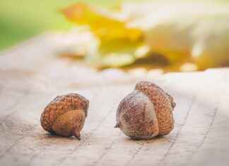 Organik Nevresimler ve Çevreye Katkıları Organik Nevresimler ve Çevreye Katkıları