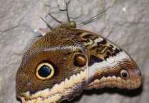 Özel Tasarım Nevresim Setleri ile Yatak Odanızda Fark Yaratın Özel Tasarım Nevresim Setleri ile Yatak Odanızda Fark Yaratın