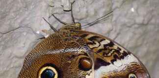 Özel Tasarım Nevresim Setleri ile Yatak Odanızda Fark Yaratın Özel Tasarım Nevresim Setleri ile Yatak Odanızda Fark Yaratın