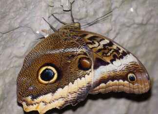 Özel Tasarım Nevresim Setleri ile Yatak Odanızda Fark Yaratın Özel Tasarım Nevresim Setleri ile Yatak Odanızda Fark Yaratın
